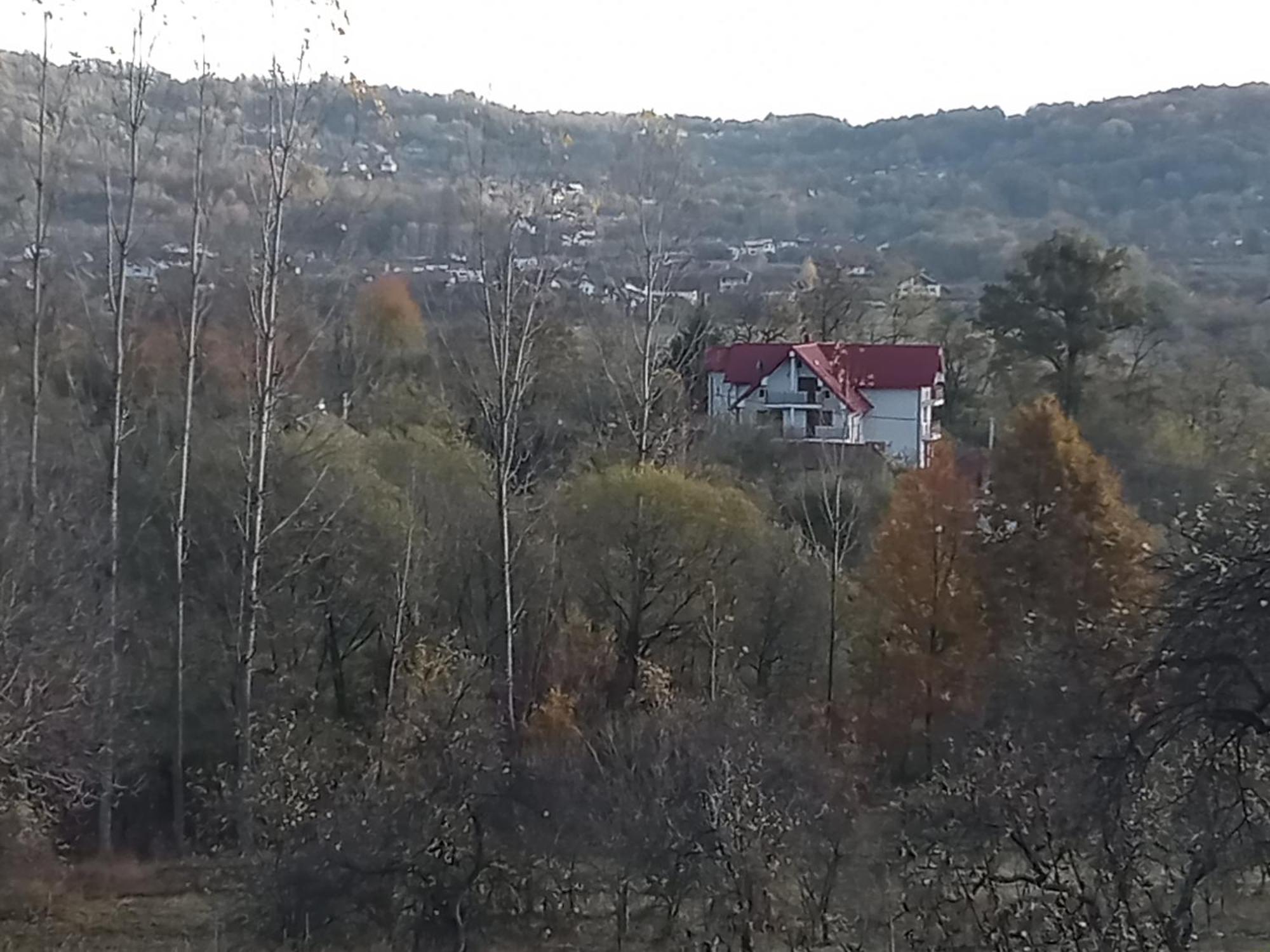 Perla Argesului, Ciubar, Piscina, Lift, Gratar, Cabana, Pensiuni, Hotel Cazare Transfagarasan Curtea De Arges Albestii de Arges Εξωτερικό φωτογραφία
