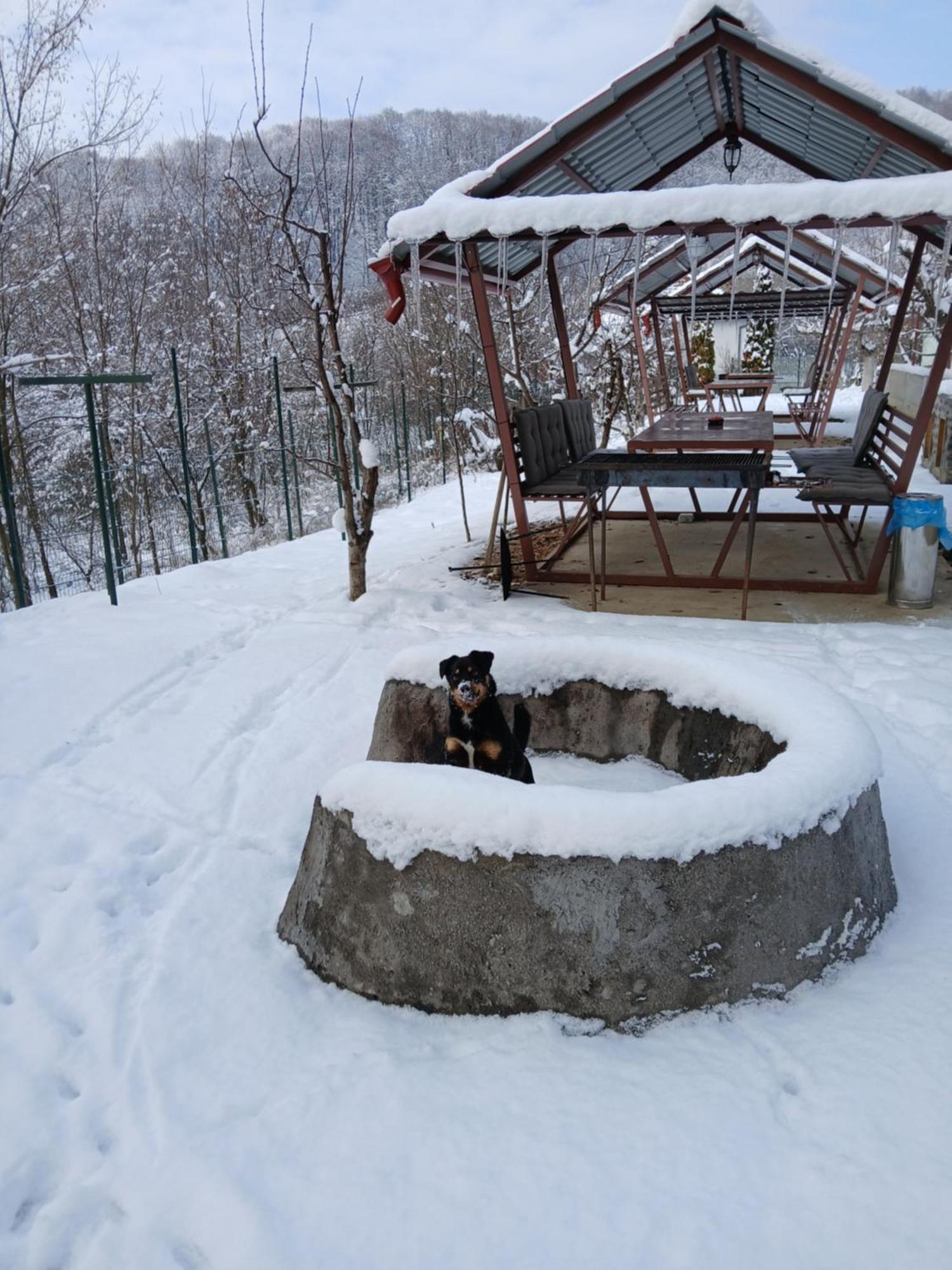 Perla Argesului, Ciubar, Piscina, Lift, Gratar, Cabana, Pensiuni, Hotel Cazare Transfagarasan Curtea De Arges Albestii de Arges Εξωτερικό φωτογραφία