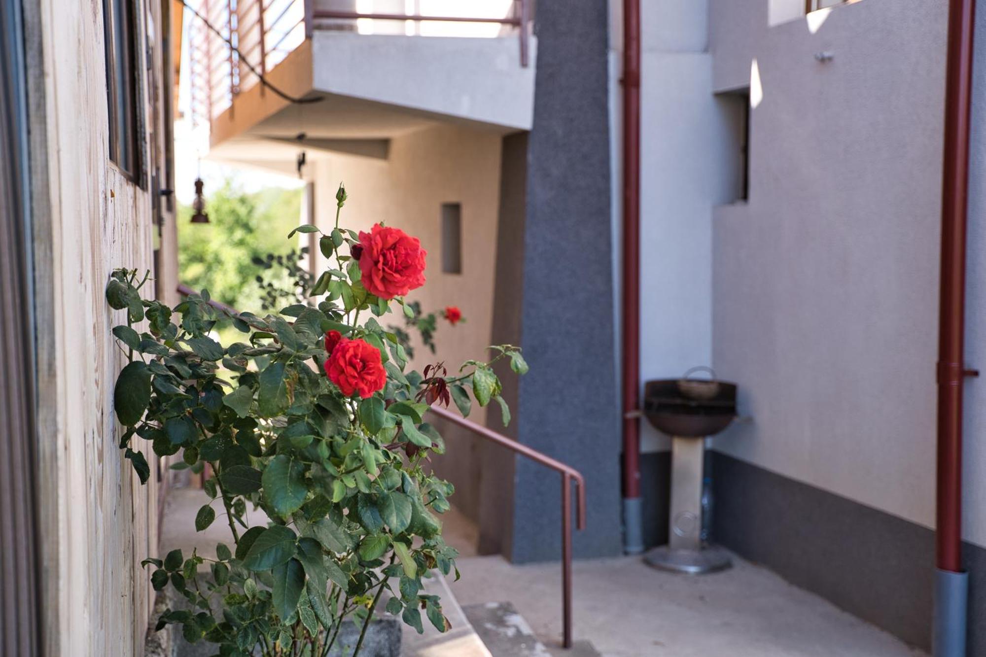 Perla Argesului, Ciubar, Piscina, Lift, Gratar, Cabana, Pensiuni, Hotel Cazare Transfagarasan Curtea De Arges Albestii de Arges Εξωτερικό φωτογραφία
